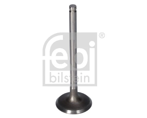 Intake Valve